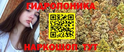 МДПВ Малоярославец