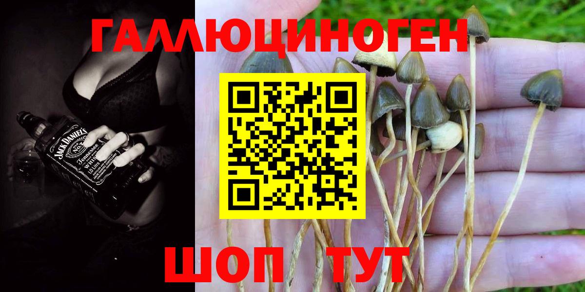 Галлюциногенные грибы ЛСД Верхняя Пышма