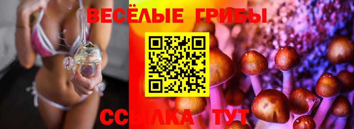 Псилоцибиновые грибы Psilocybe  Вход с VPN  Верхняя Пышма 