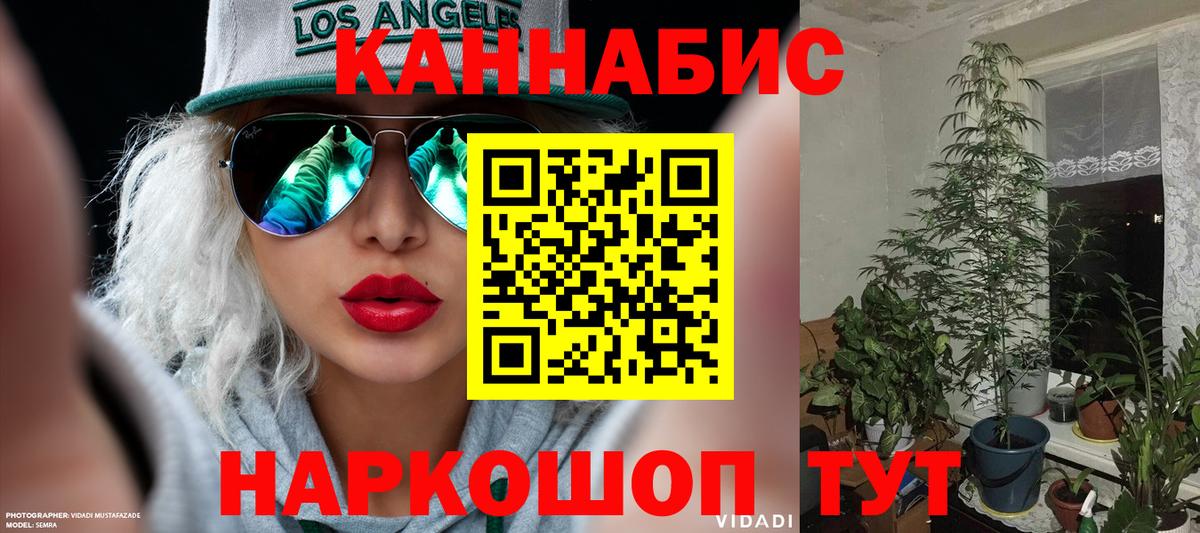 Верхняя Пышма  Бошки марихуана Amnesia  Вход с VPN  Каннабис Ganja 